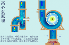 .離心泵的工作效率及能量轉(zhuǎn)