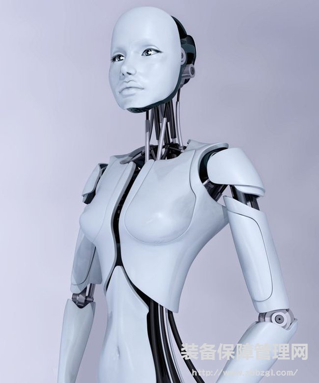 荷蘭專家：2050年“機器人妓院”將開業(yè)