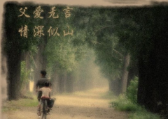 像對待領導一樣對待父親