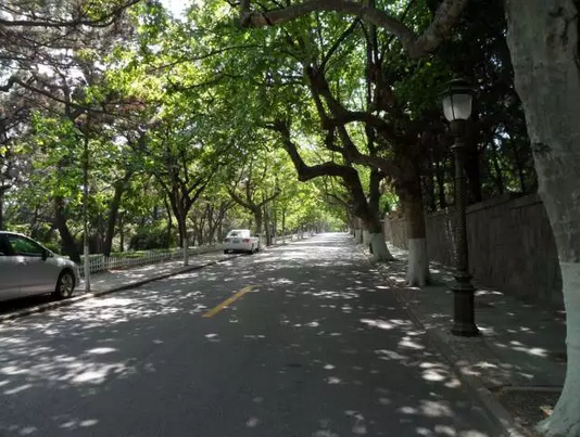 上合峰會(huì)能為青島帶來什么？