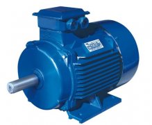 電機(jī)轉(zhuǎn)子機(jī)械不平衡與電機(jī)的振動(dòng)和噪聲