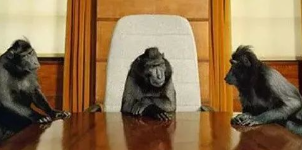 猴子管理法：如何避免自己忙死，下屬閑死？